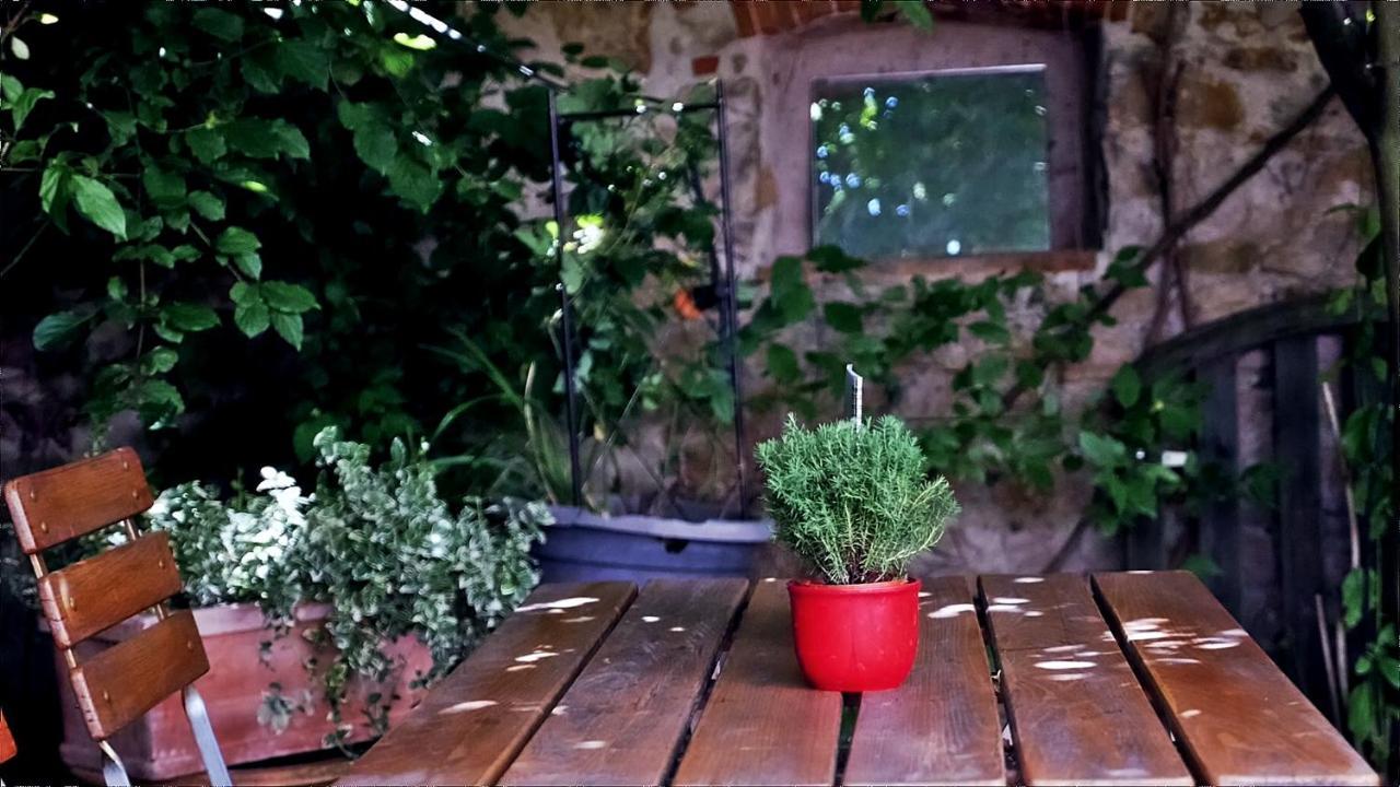 Das Bluemchen Friburgo in Brisgovia Esterno foto